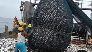 Here is The Big Catch - You Won't BelieveThat How Many Fishes - Amazing Fish Processing Machines