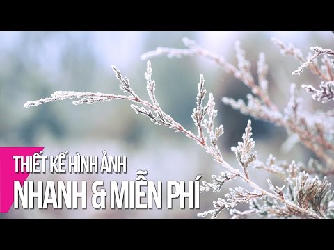 Fotojet - Thiết Kế Hình Ảnh Nhanh & Miễn Phí
