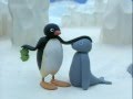Pingwin Pingu idzie na ryby