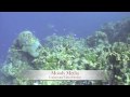Underwater-Nature Demo