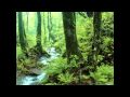 Pachelbel's Canon in D major Best Version HQ and HD..flv