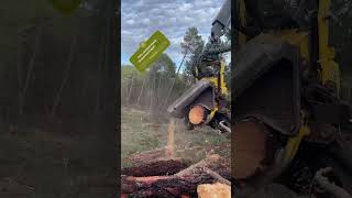How The Harvester 1270G Cuts Wood Merry Christmas Friends #Harvester #Johndeere #Christmas #Viral