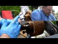 How to pack your camper wheel bearings