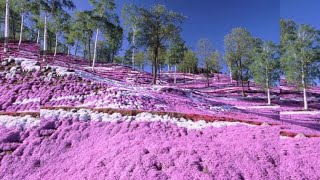 Top Places That’ll Make You Drop Everything and Explore the World