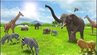 Baby Learn Animals With Real Animals 3D - Funny Cartoon Educational Children Games