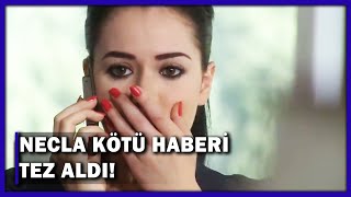 Necla Her Şeyi Öğrendi - Yaprak Dökümü 159.Bölüm