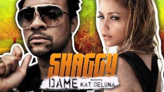 Watch Shaggy Dame video