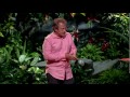 Robin Ince: Science versus wonder?