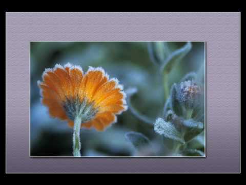 Paul Mauriat - Katioucha (1965)