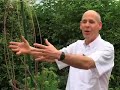 William Bloom Interview- Endorphin Effect - How it works