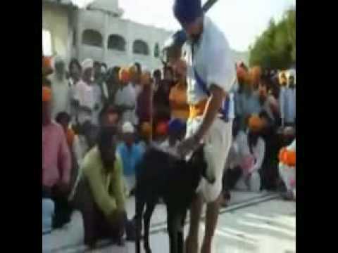 shera de dereya te.avi