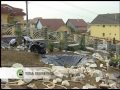 stream Secretele Unei Gradini Frumoase Secretele Unei Gradini Frumoase image
