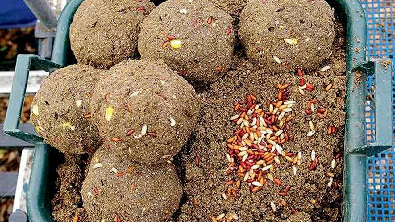 Как сделать при прикормку для карася Как сделать при прикормку для карася