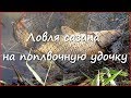Ловля сазана на поплавочную удочку весной Ловля сазана на поплавочную удочку весной