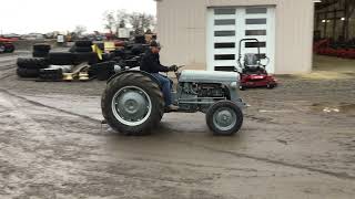 1950 Ferguson To20 For Sale