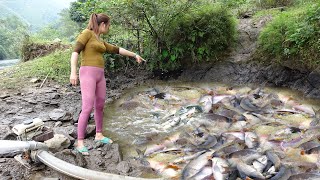 Top Video Fishing -Modern Technology Catch Many Big Fish - Pump Fishing Techniques - Survival Skills