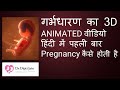 PREGNANCY कैसे होती है / बच्चा कैसे होता है / गर्भधारण का 3D ANIMATED वीडियो हिंदी में पहली  बार