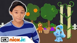 Blues Clues & You Where Do Fruit And Vegetables Come From? Nick Jr. Uk