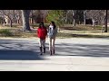 Albuquerque NM video: Albuquerque's University Of New Mexico (Part 3) (Banjo by Lars Fabricius-Olsen)