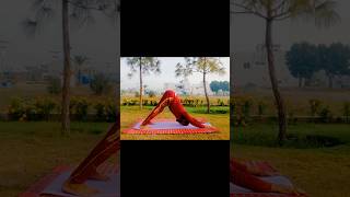 Why Downward Facing Dog Is So Much More Than A Yoga Pose