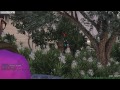ARMA 3: Life Mod — Drama, Drama and More Drama!