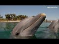 BAJA CALIFORNIA SUR - Los Cabos - La Paz - México - Turismo tourism travel tour visit playas BCS