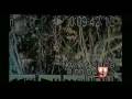 Title:Casey Anthony Case: Anthonys Private Investigator At Remains Scene Description: