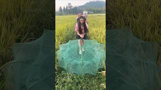 Amazing Fishing Technique Fish Catching