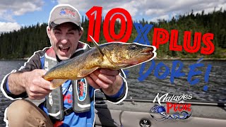 Comment capturer 10 X plus de dorés avec un marcheur de fond!!! Capsules Malades de Pêche #2