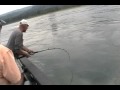 Oversize Sturgeon Fishing