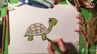 En kolay yöntemle Kaplumbağa Çiziyorum - TRT İlkokul TV Kaplumbağa Çizimi - 10.0