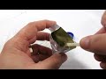 Triassic Triops Progress: Feeding, Cleaning and Caring (Days 2-7)
