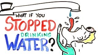 What If You Stopped Drinking Water? What If You Stopped Drinking Water?
