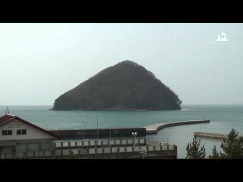 浅虫温泉・湯ノ島カタクリ - 湯ノ島 - 0101A