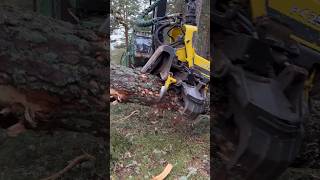 “Cutting And Cleaning: A Day’s Work With John Deere 1270G Harvester #Johndeere #Harvester #Viral