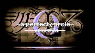 Watch A Perfect Circle Eulogy video
