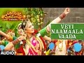 Veyi Naamaala Vaada Full Song Audio | Om Namo Venkatesaya | Nagarjuna, Anushka Shetty