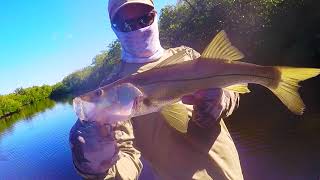 Dave Scadden's Backslash, Mangrove Backcountry Jungle Seacret Weapon. Insanely Wild!!!