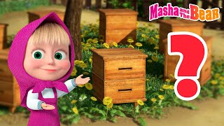 Masha and the Bear 2024 🤔 Find the item❓Best episodes cartoon collection 🎬