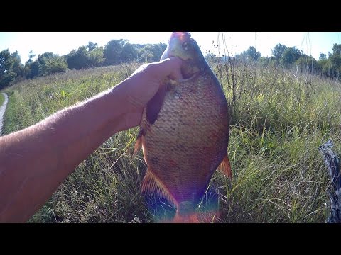 ловля леща на донце видео ловля леща на донце видео
