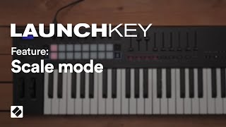 Launchkey [MK3] - Scale Mode // Novation