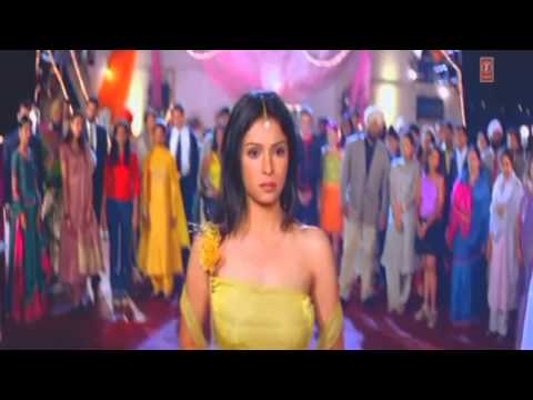 Dil Ta Pagal Hai & Pakki Kanak