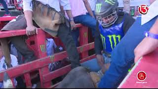 Monta 1 Corrida De Toros Zapote, 31 Dic 2022 Tarde
