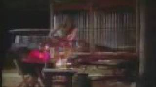 Watch Scatterbrain Big Fun video