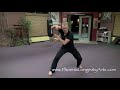 Eagle Claw Kung Fu, Awesome!