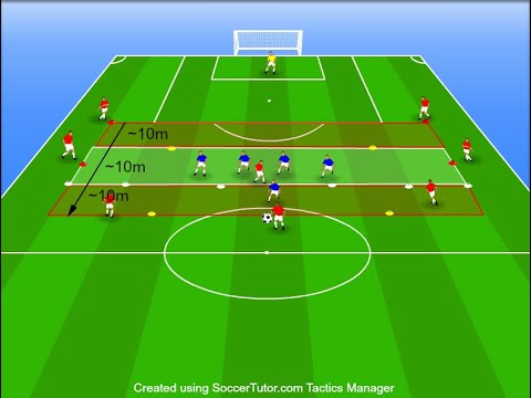 TEAM DATA VIDEO TUTORIAL
