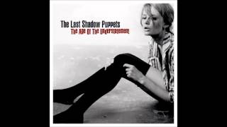 Watch Last Shadow Puppets I Dont Like You Any More video