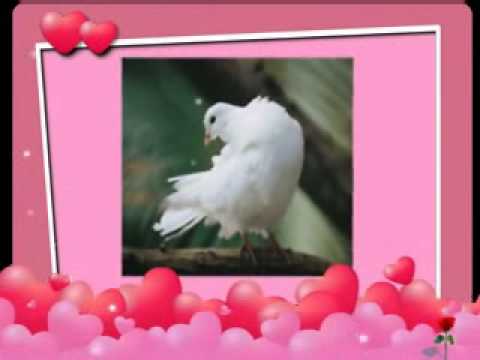 rang pakka roshan prince new song.wmv