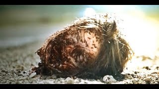 Hereditary - 2018 Most Disturbing, devilish & Horror Movie ( Review )