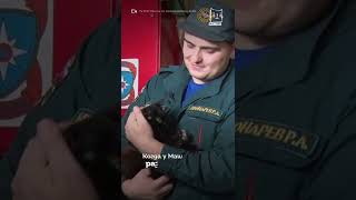 В Красноярске В Пожарной Части Живет Кошка-Психолог
